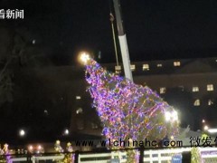 拜登无视主持人直接倒数点亮“国家圣诞树”