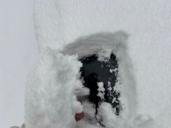 直击各地强降雪：河南雪厚得像切糕 安徽积雪达12厘米