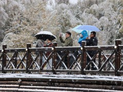 新疆阿勒泰下起鹅毛大雪 禾木秋色披银装，游客惊叹