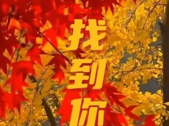 用刀郎的歌打开南京的秋天 BGM已就位