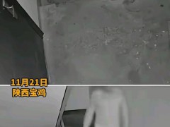 男子用铁秤砣砸楼道逼走业主 极端行为引众怒