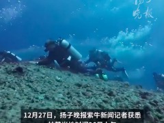 7名潜水失联中国游客已找到 全员平安获救[推荐]