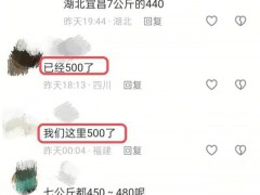 反常！仔猪暴涨到500还“一苗难求” 春节后或继续涨[推荐]